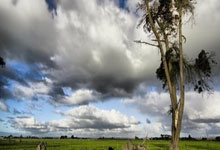 天涯论坛牛元帅：一个被网络选中的平凡人